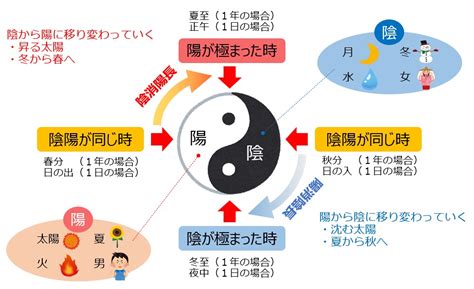 陽水五行|【五行占い】水（陽・陰）の2023年運勢や特徴・性。